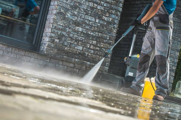 Best Residential Pressure Washing in Corunna, MI