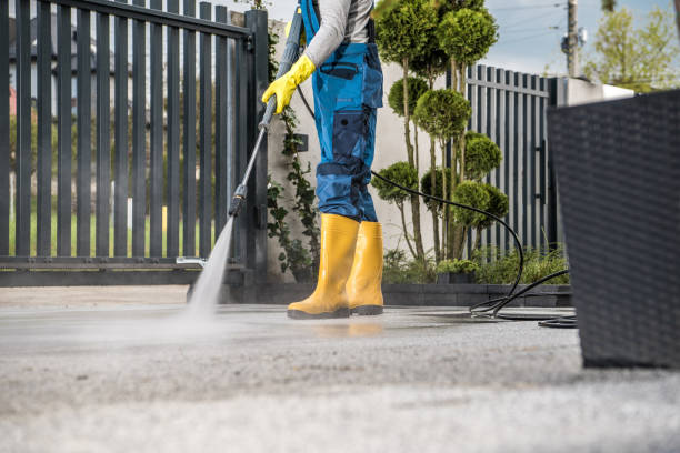 Best Vinyl Siding Pressure Washing in Corunna, MI