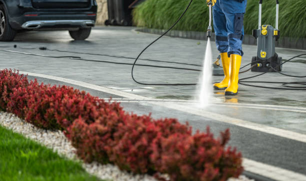 Best Sidewalk and Walkway Pressure Cleaning in Corunna, MI