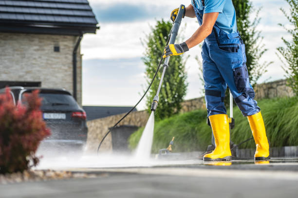 Best Soft Washing for Delicate Surfaces in Corunna, MI