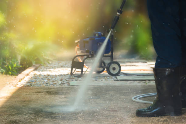 Best Driveway Cleaning and Restoration in Corunna, MI