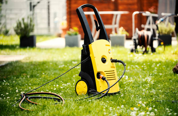 Best Roof Cleaning and Mildew Removal in Corunna, MI
